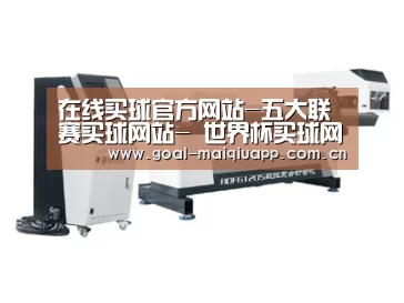 案例展示三